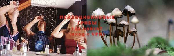 a pvp Каменногорск