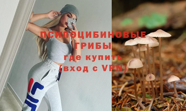 a pvp Каменногорск
