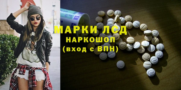 PSILOCYBIN Инта