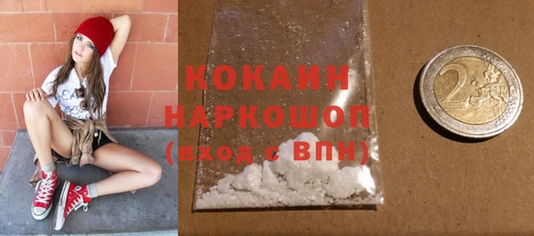PSILOCYBIN Инта