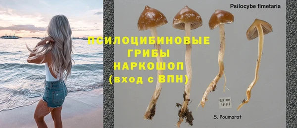 jwh Инсар