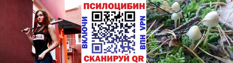 Купить где  Галич  Псилоцибиновые грибы мухоморы 